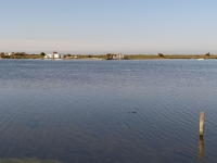 https://www.pawl.fr/files/dimgs/thumb_0x200_2_205_8825.jpg