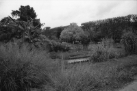 N/A