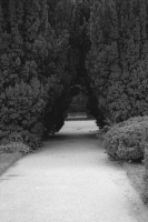 N/A