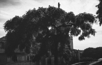 N/A