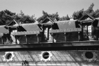 N/A