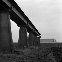 N/A